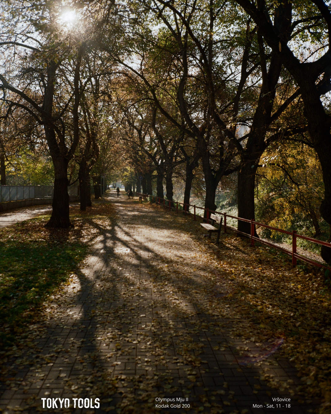 FEED_VRSOVICE-ANALOG_PODZIM_4x5